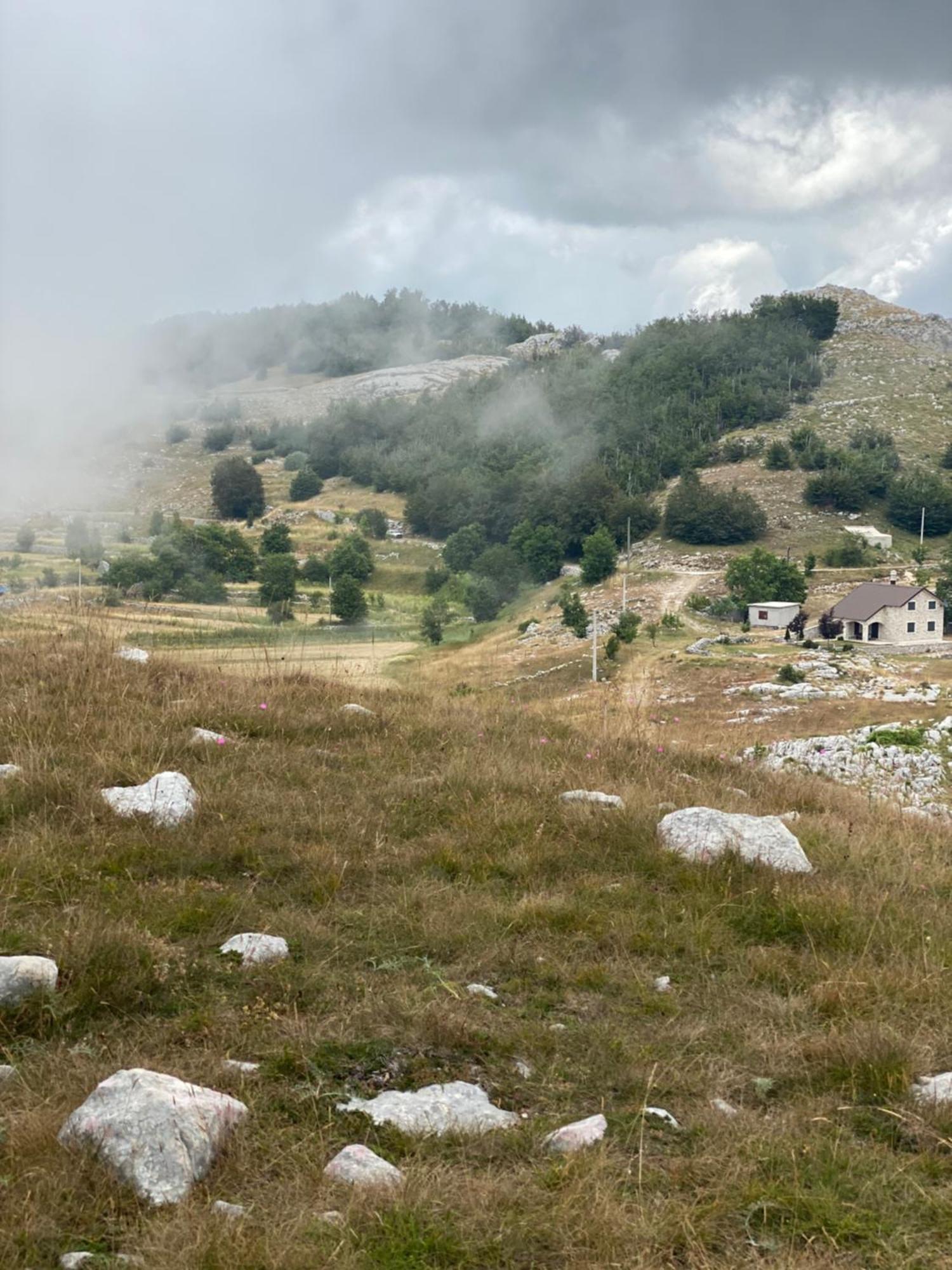 Albero Casa Villa Cetinje Kültér fotó