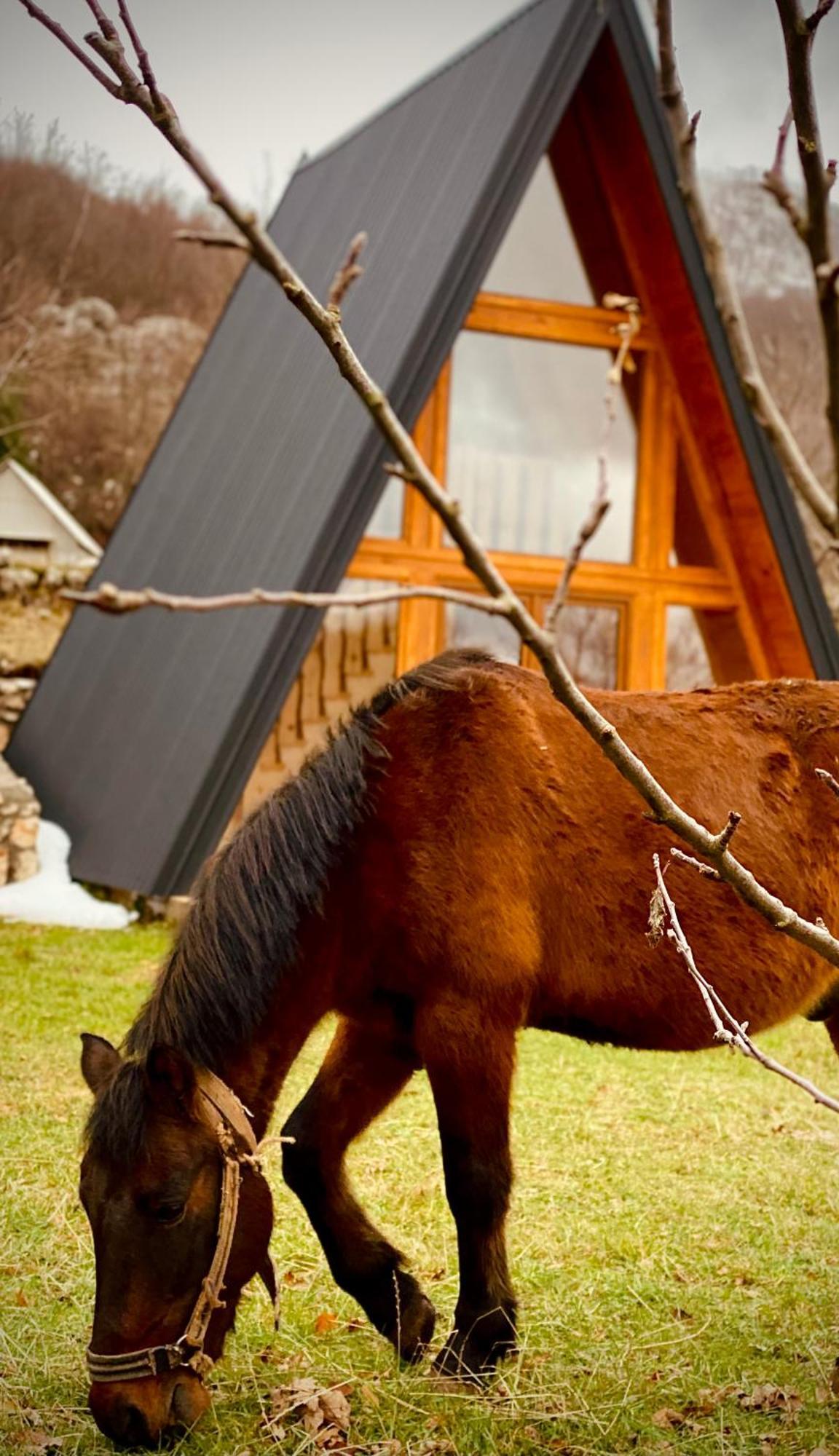 Albero Casa Villa Cetinje Kültér fotó