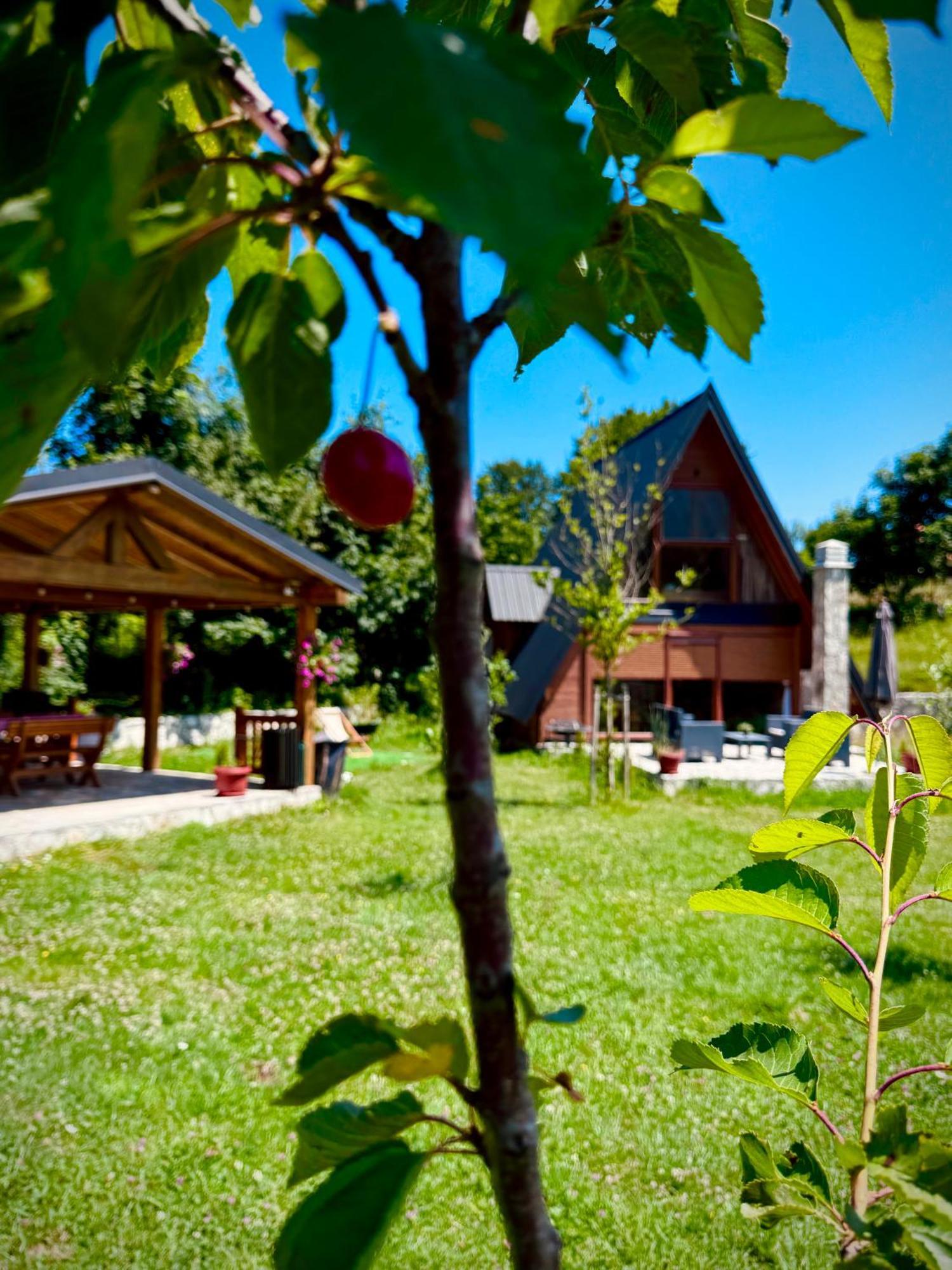 Albero Casa Villa Cetinje Kültér fotó